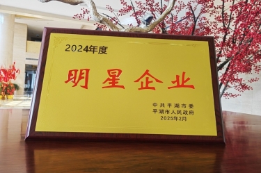 新春新景新气象 | 6686体育入口在平湖三干大会上喜摘荣誉！